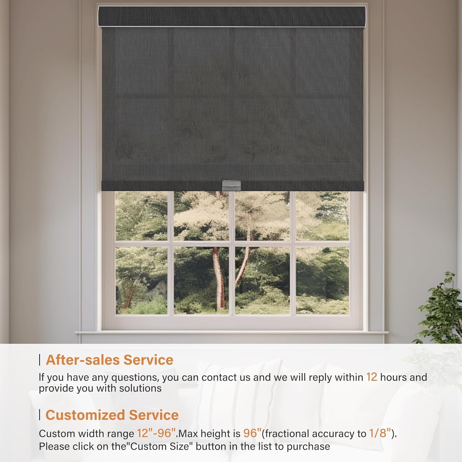 Persianas enrollables solares sin cordones con filtro de luz para ventanas con cenefa de casete, cortinas traslúcidas y reducen el deslumbramiento,