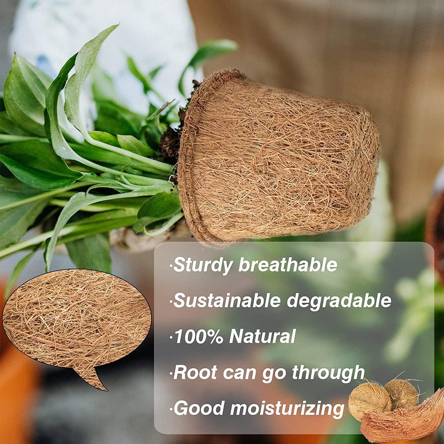 Halatool Paquete de 100 macetas de turba de coco para principiantes, macetas biodegradables para jardín, guardería, kits de germinación de semillas
