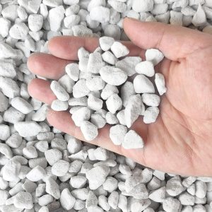 Perlita orgánica hortícola de grado profesional de 15 cuartos de galón (15 cuartos de galón, tamaño grande – perlita) Perlita orgánica hortícola de grado profesional de 15 cuartos de galón (15 cuartos de galón, tamaño grande – perlita)