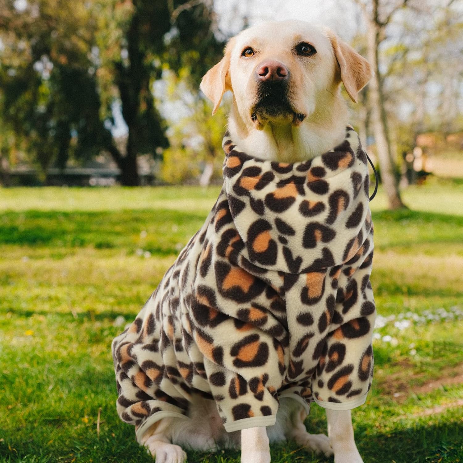 ROZKITCH Abrigo de invierno para perro, pijama de forro polar suave, chaleco resistente al viento para clima frío cálido con cremallera reflectante,