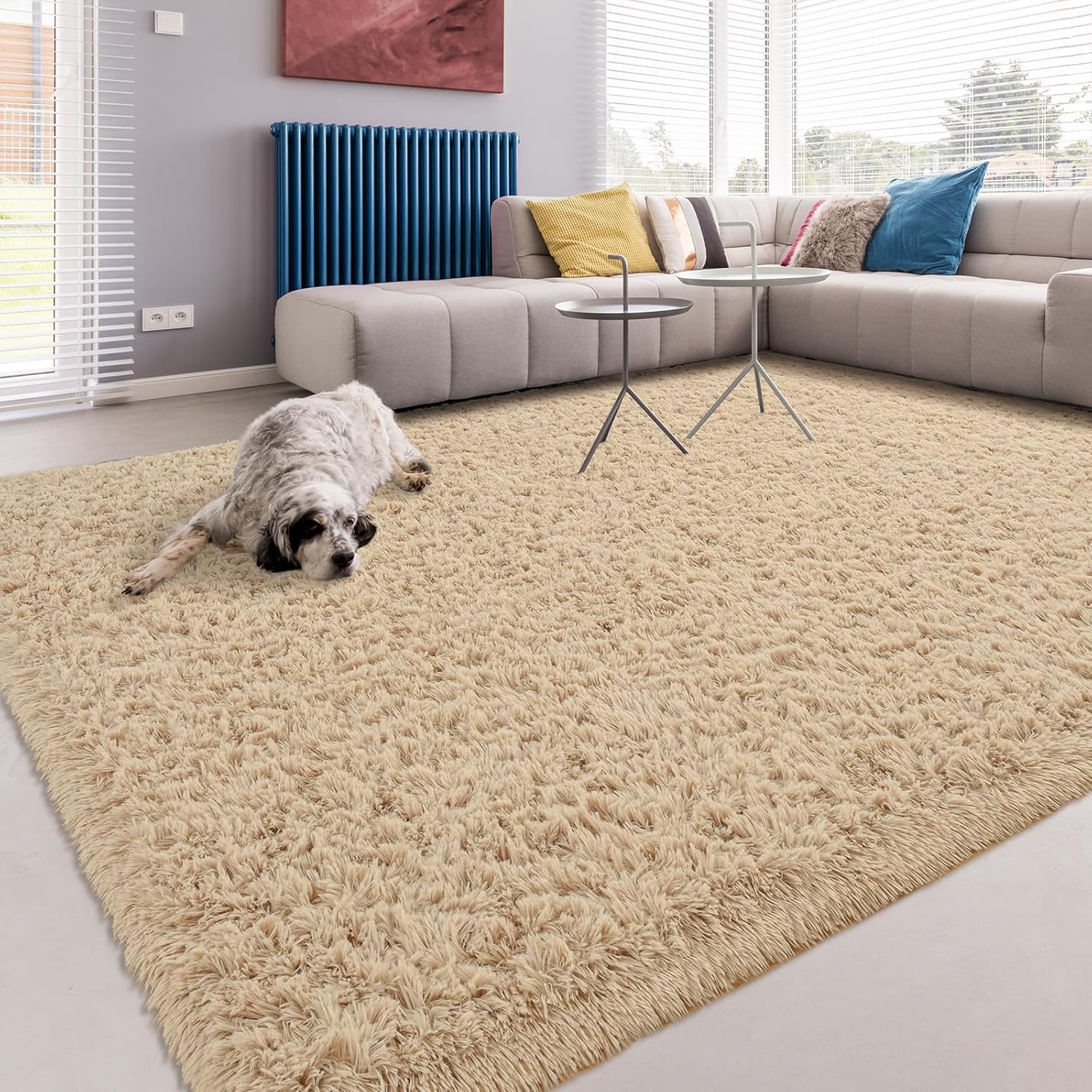 Softlife Alfombra para sala de estar, 5.3 x 7.6 pies, alfombra de área para dormitorio, alfombras peludas súper suaves para habitación de los niños,