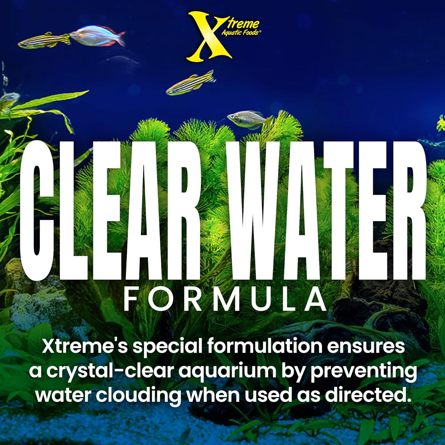 Xtreme Scrapers Wafers – Premium 14mm Fast-Sinking Fish Food  Nutrient & Cellulose Rich Ideal for Nocturnal Feeders, Catfish, Plecostomus Species,