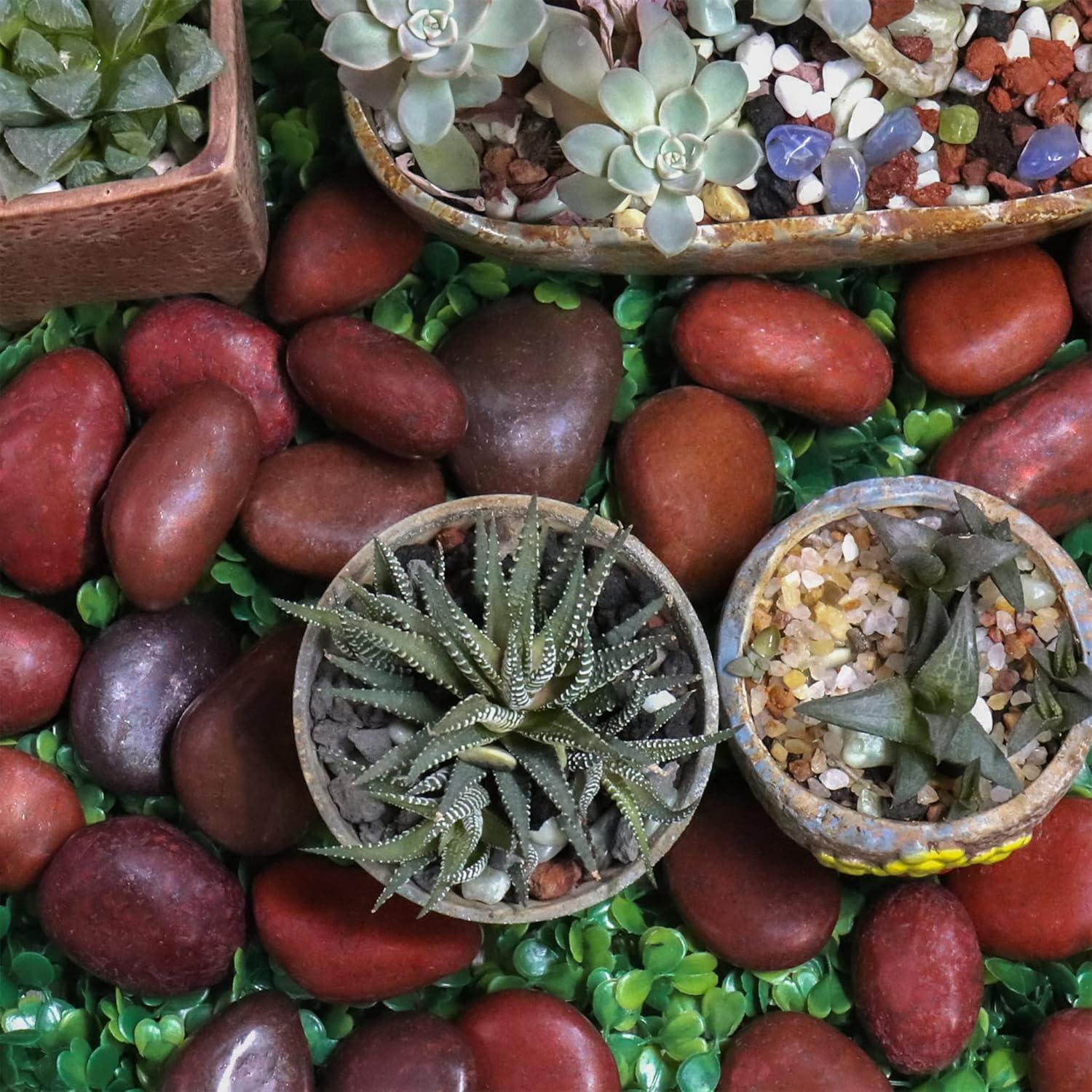 Koltose by Mash Piedras rojas pulidas de 10 libras. Rocas de  a 1 pulgada para plantas, jardín, paisajismo, suculentas, pecera, grava, terrario,