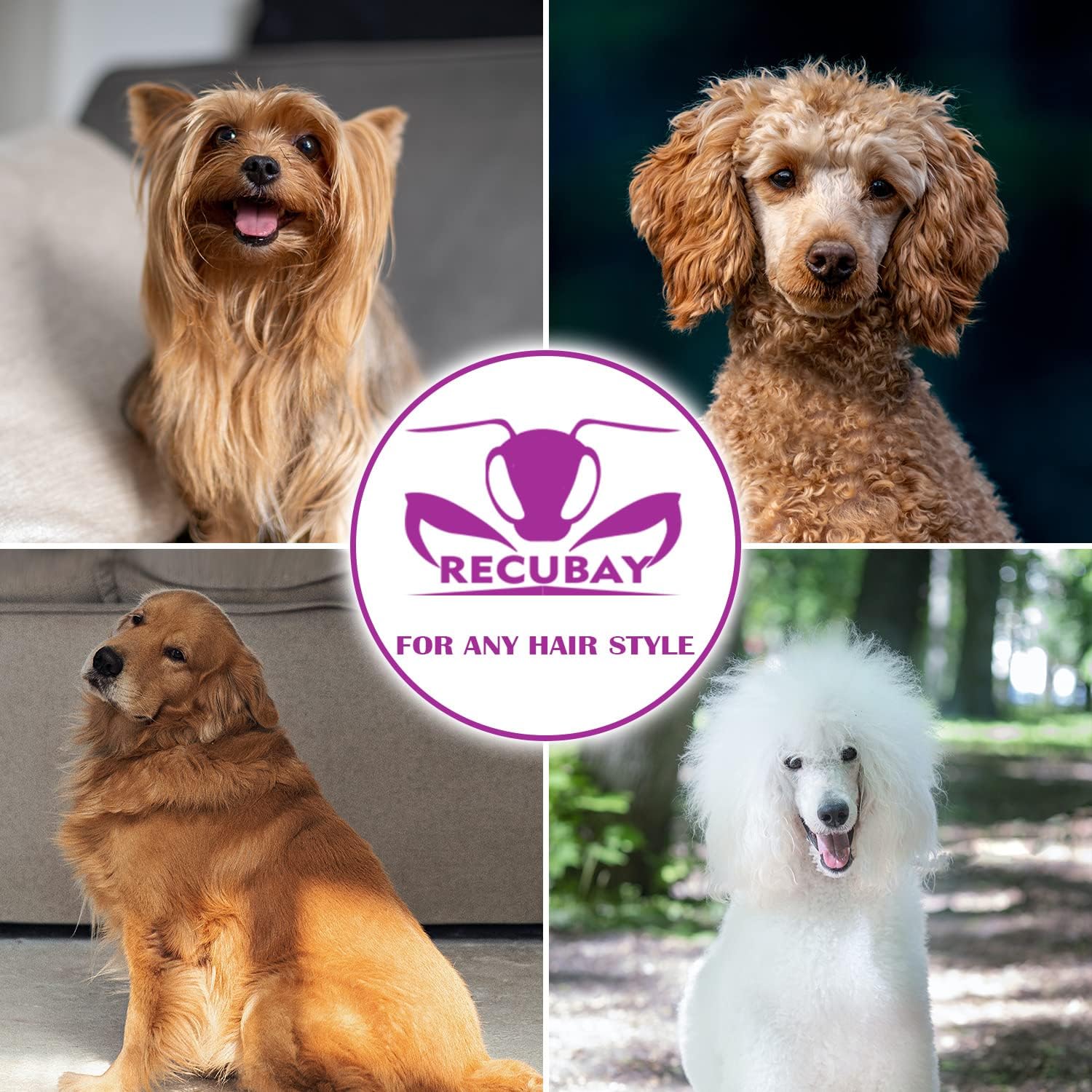 Tijeras de aseo para perros, tijeras de 7.0 pulgadas con color mate de lujo, 56 tijeras de adelgazamiento de dientes
