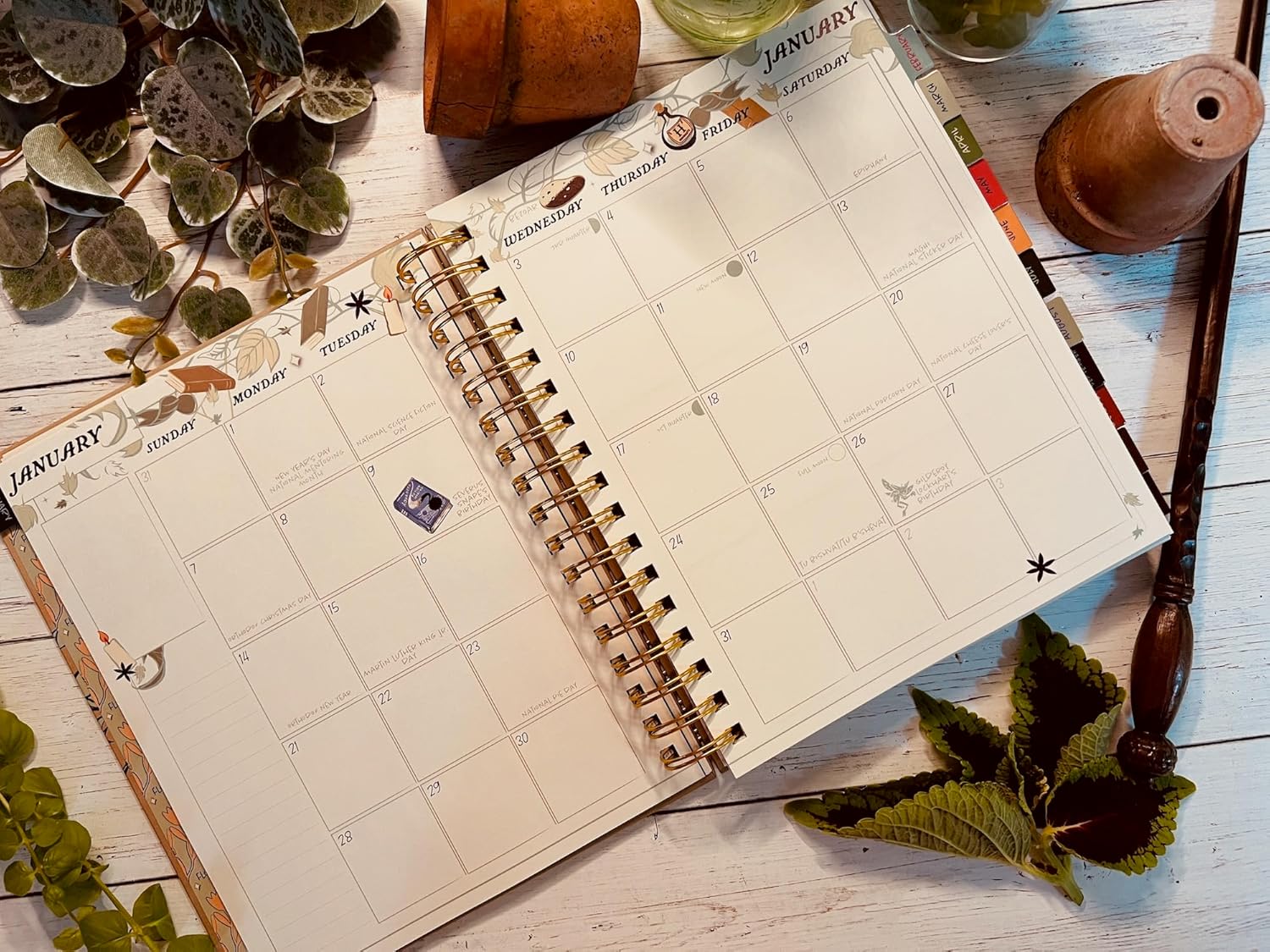 Conquest Journals Harry Potter Herbology – Agenda semanal fechada 2024, formato vertical, cubierta de tablero de libro envuelta, encuadernado en