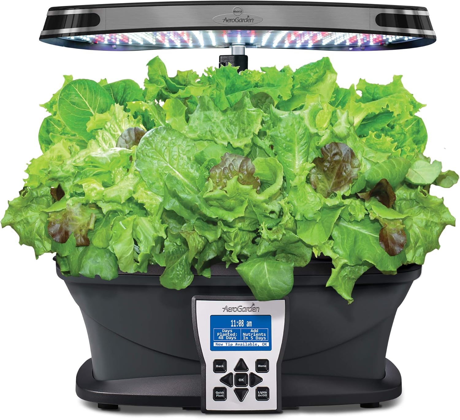 Miracle-Gro AeroGarden – Kit de semilla autóctonas en vainas de ensalada