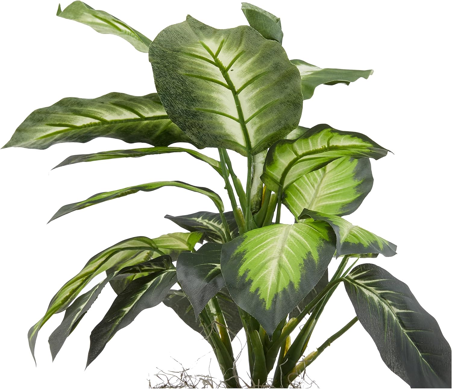 Nearly Natural Dieffenbachia dorada con jarrón de madera Planta de seda