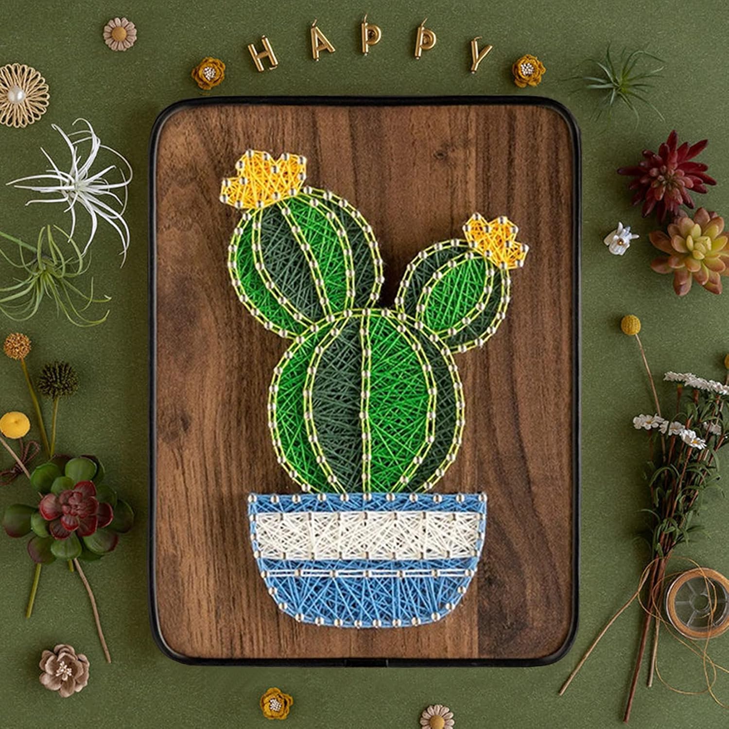 BAZIMA Kit de arte de cuerda para principiantes, kit de manualidades de cactus en maceta, regalo único, kit de manualidades para vacaciones, cactus