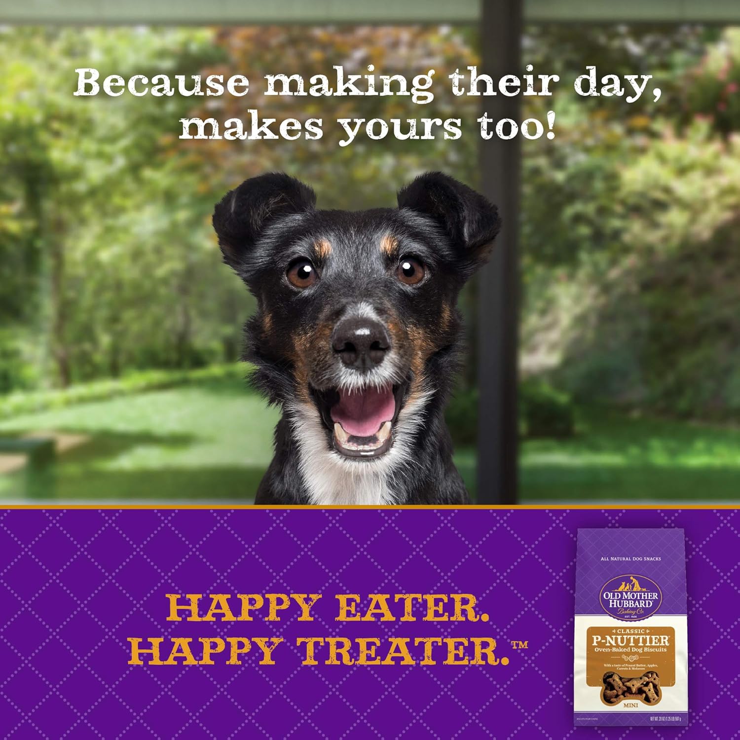Clásicos premios naturales de perro Old Mother Hubbard Crunchy