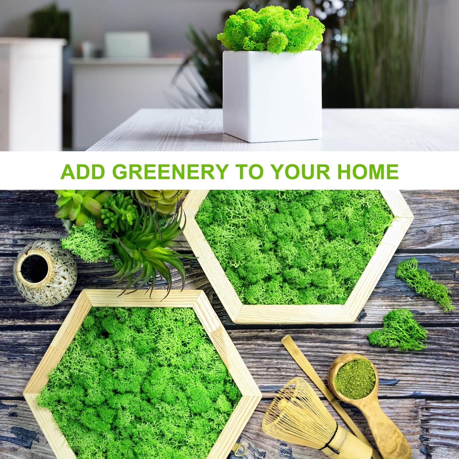 Pextian Musgo verde preservado para manualidades, musgo de reno de 8 onzas para plantas en maceta, musgo artificial decorativo para bodas,