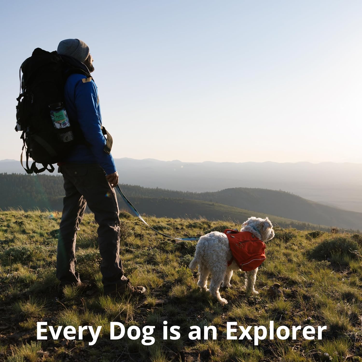 Ruffwear, Load Up – Arnés para perro, arnés de seguridad para automóvil con clasificación de resistencia con accesorio universal para cinturón de