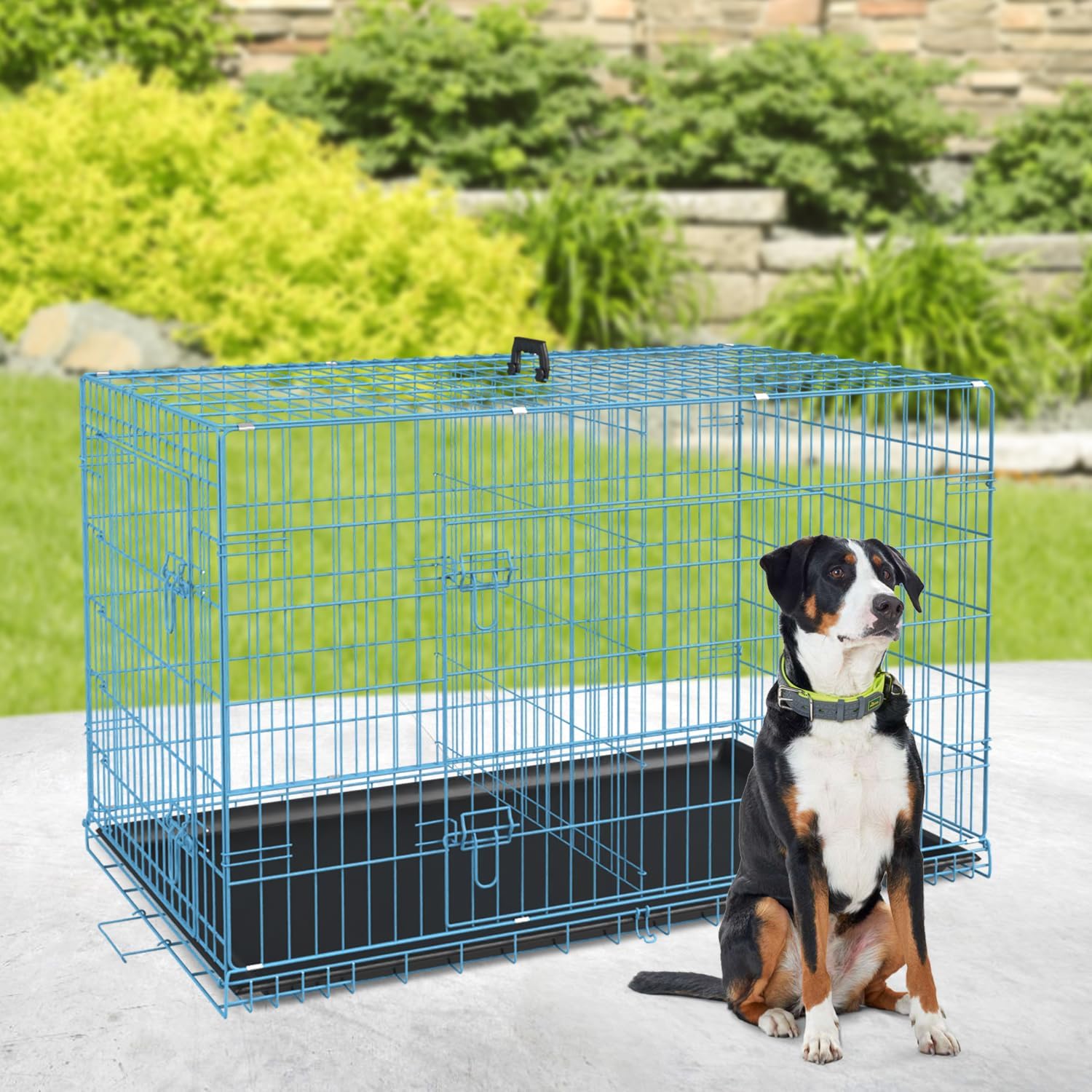 Petmate – Jaulas plegables de alambre de metal, de 24, 30, 36, 42, 48 pulgadas, para perros grandes, para exteriores e interiores, con doble puerta,
