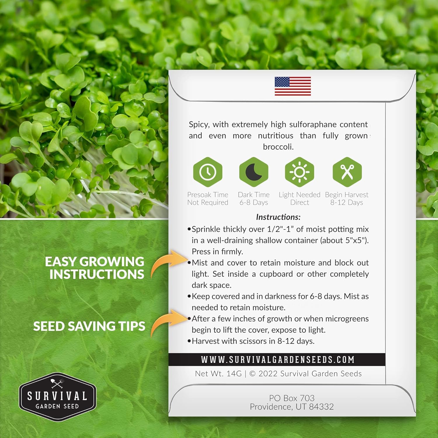 5 paquetes de semillas de microgreens de brócoli para plantar y cultivar  Planta plantas de microvegetales de hoja verde en interiores  Cultiva tu