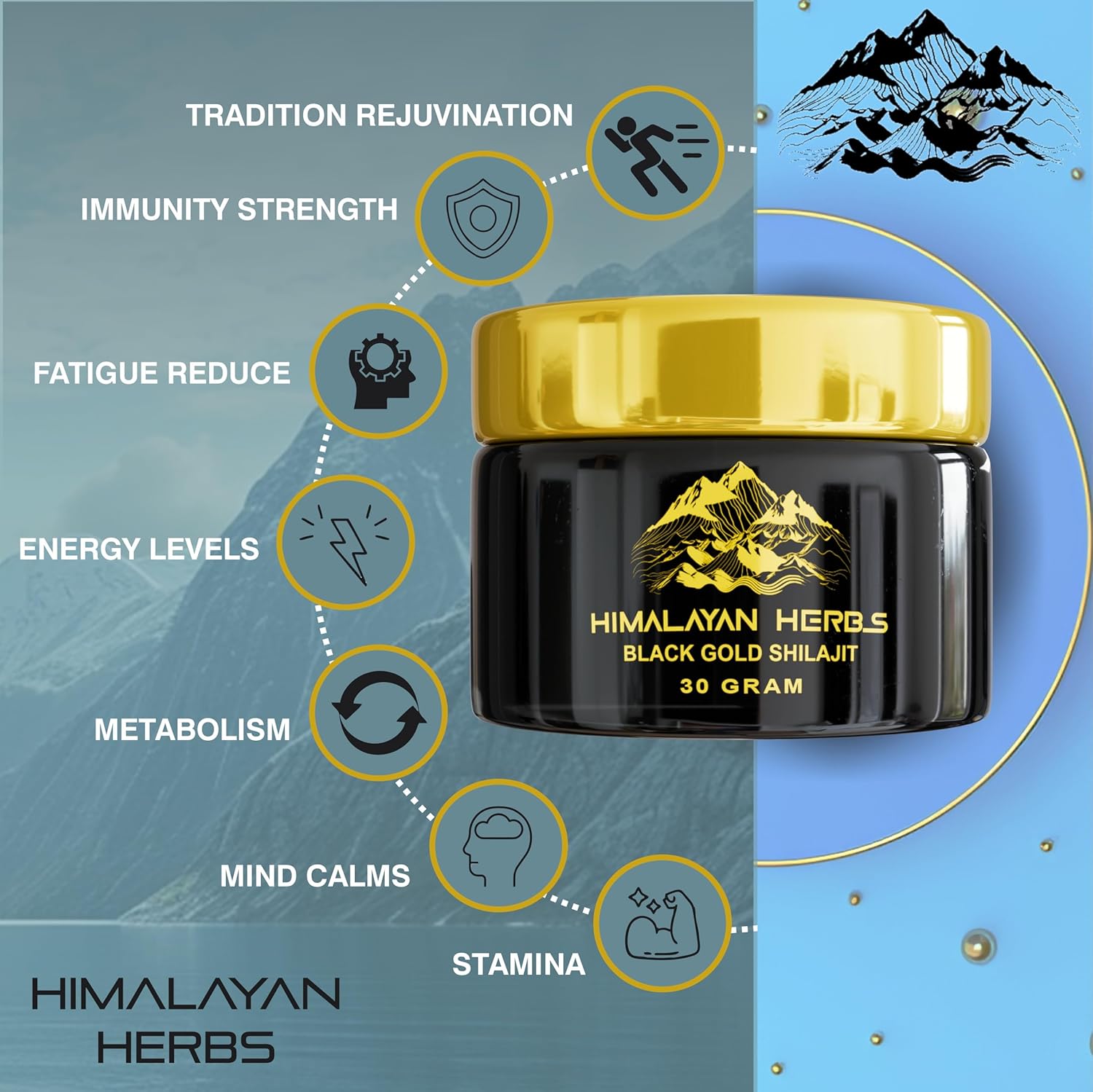 Resina Shilajit Shilajit pura orgánica del Himalaya 1.06 oz (30 g), grado oro, 100% puro, rico en ácido fúlvico y húmico, minerales, sistema