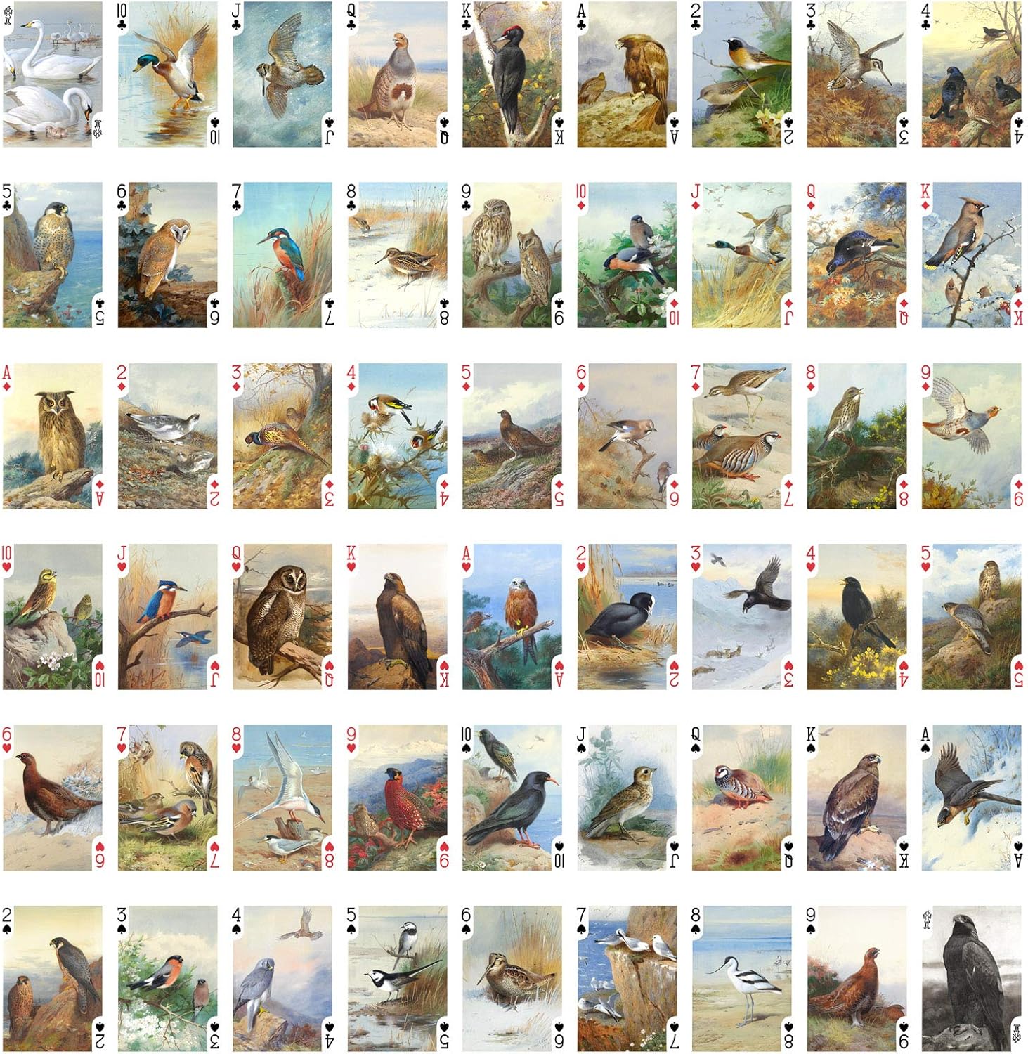 Increíbles aves salvajes naipes (baraja de póquer 54 cartas todas diferentes) Pintura del museo de aves salvajes de oración por Archibald Thorburn