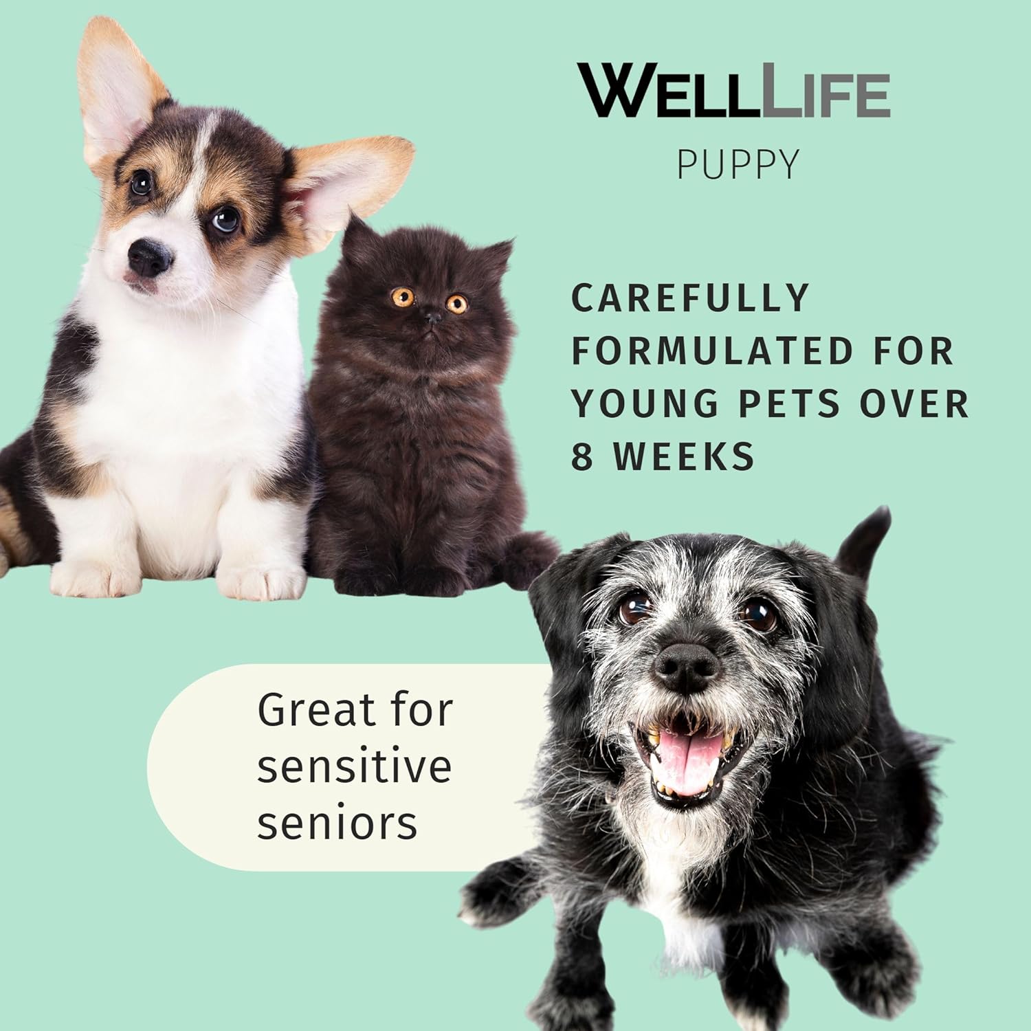 Well Life Champú acondicionador 2 en 1 para cachorros, champú acondicionador sin lágrimas, ingredientes a base de plantas, aceite de jojoba,