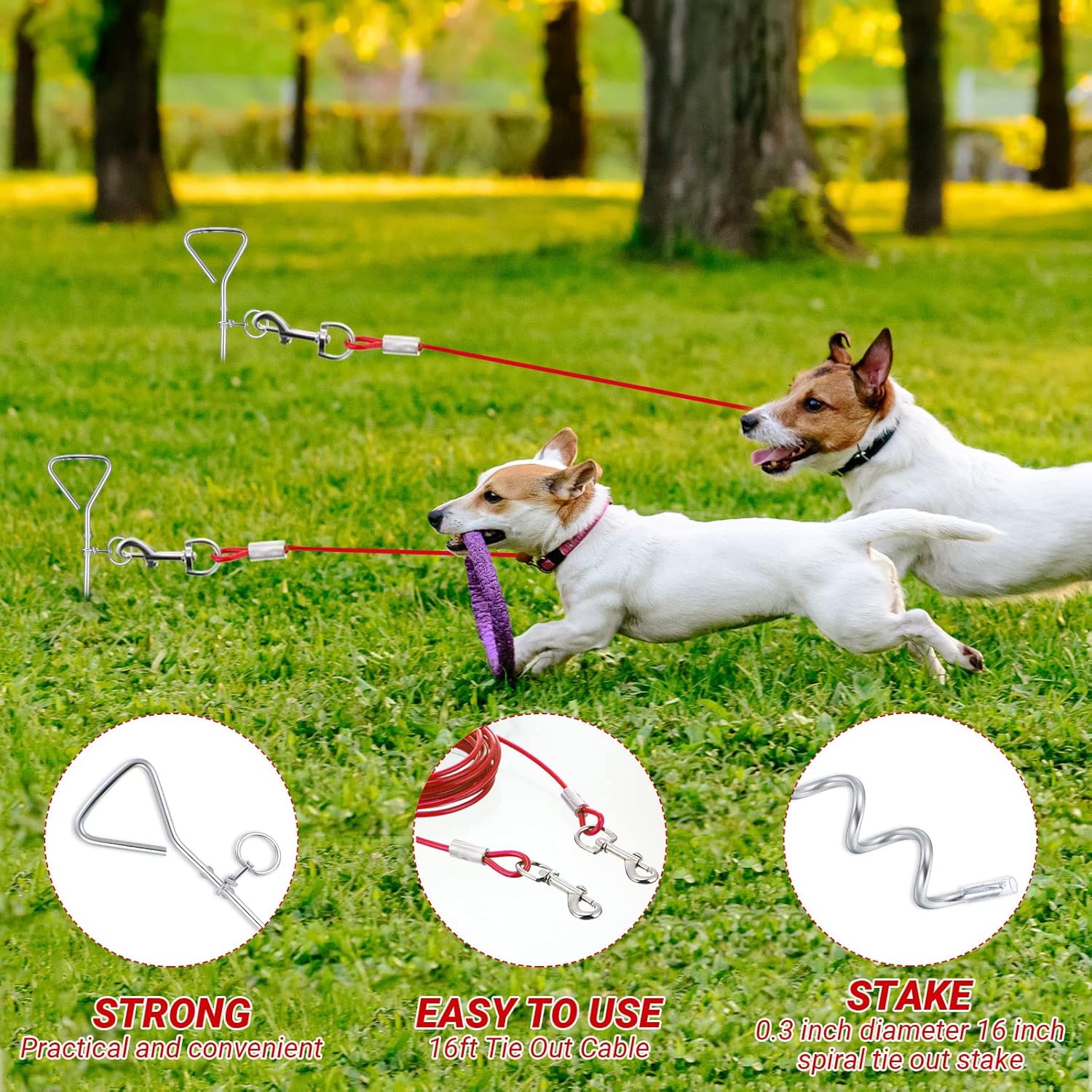 Amylove 2 cables y estaca de amarre para perro, cadena exterior de 16 pies para perros medianos a grandes de hasta 125 libras, estaca espiral