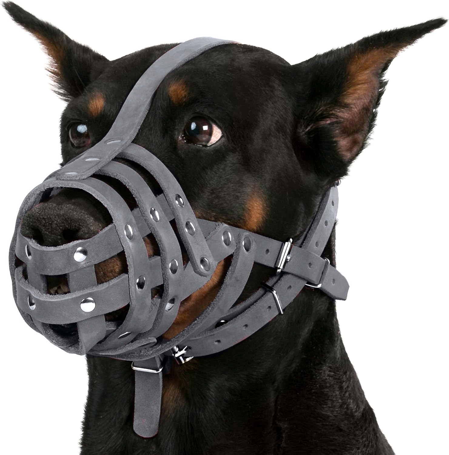 CollarDirect Bozal de cuero para perro Doberman, pastor alemán, dálmata, razas medianas y grandes, color rosa y gris (L, gris)