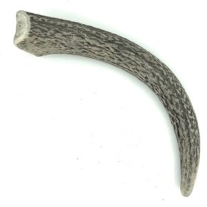 Deer Valley – Masticables para perros (individual gigante, de 8 a 10 pulgadas), cornamenta de ciervo de origen sostenible para razas extra grandes, Deer Valley – Masticables para perros (individual gigante, de 8 a 10 pulgadas), cornamenta de ciervo de origen sostenible para razas extra grandes,