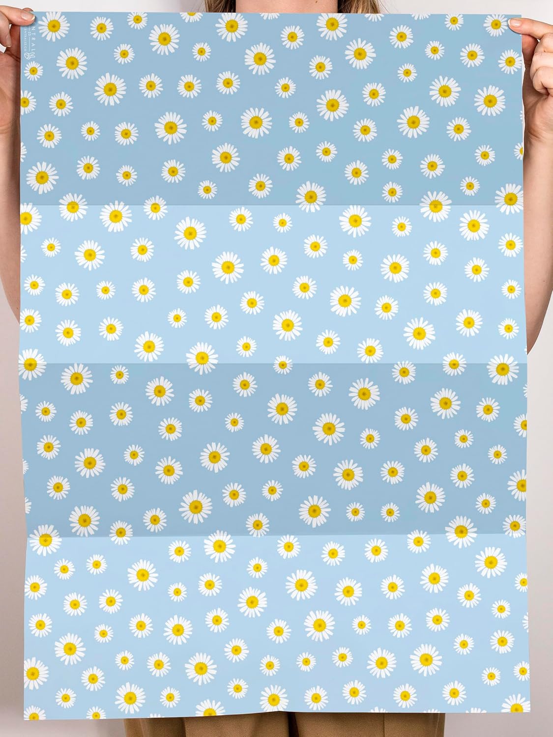 CENTRAL 23 – Papel de regalo de flores – Margaritas azules – 6 hojas de papel de regalo florales – Papel de regalo de margaritas para mujeres – Para