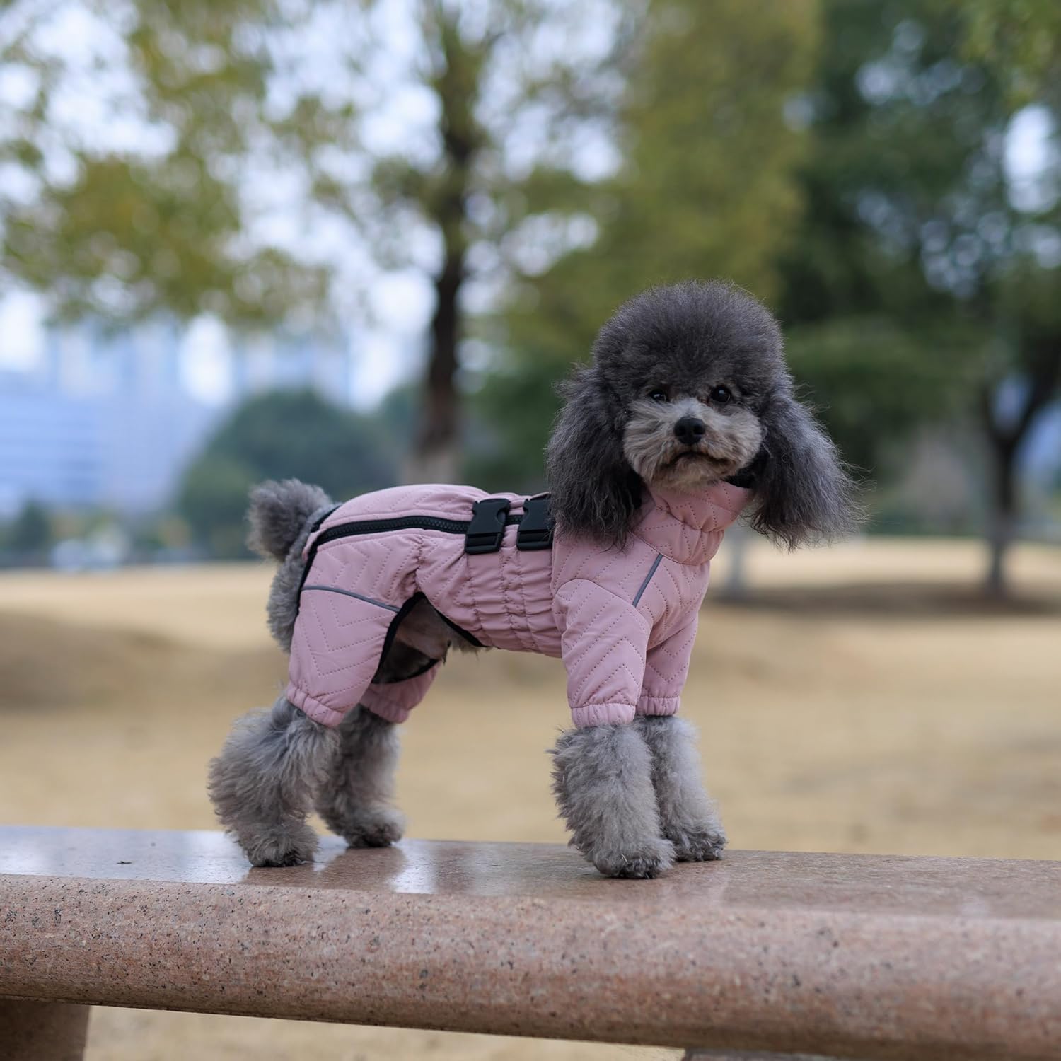 Abrigo cálido para perro, chaleco de doble capa para perro, 4 patas cubiertas, resistente al viento, impermeable, reflectante, chaleco cálido para
