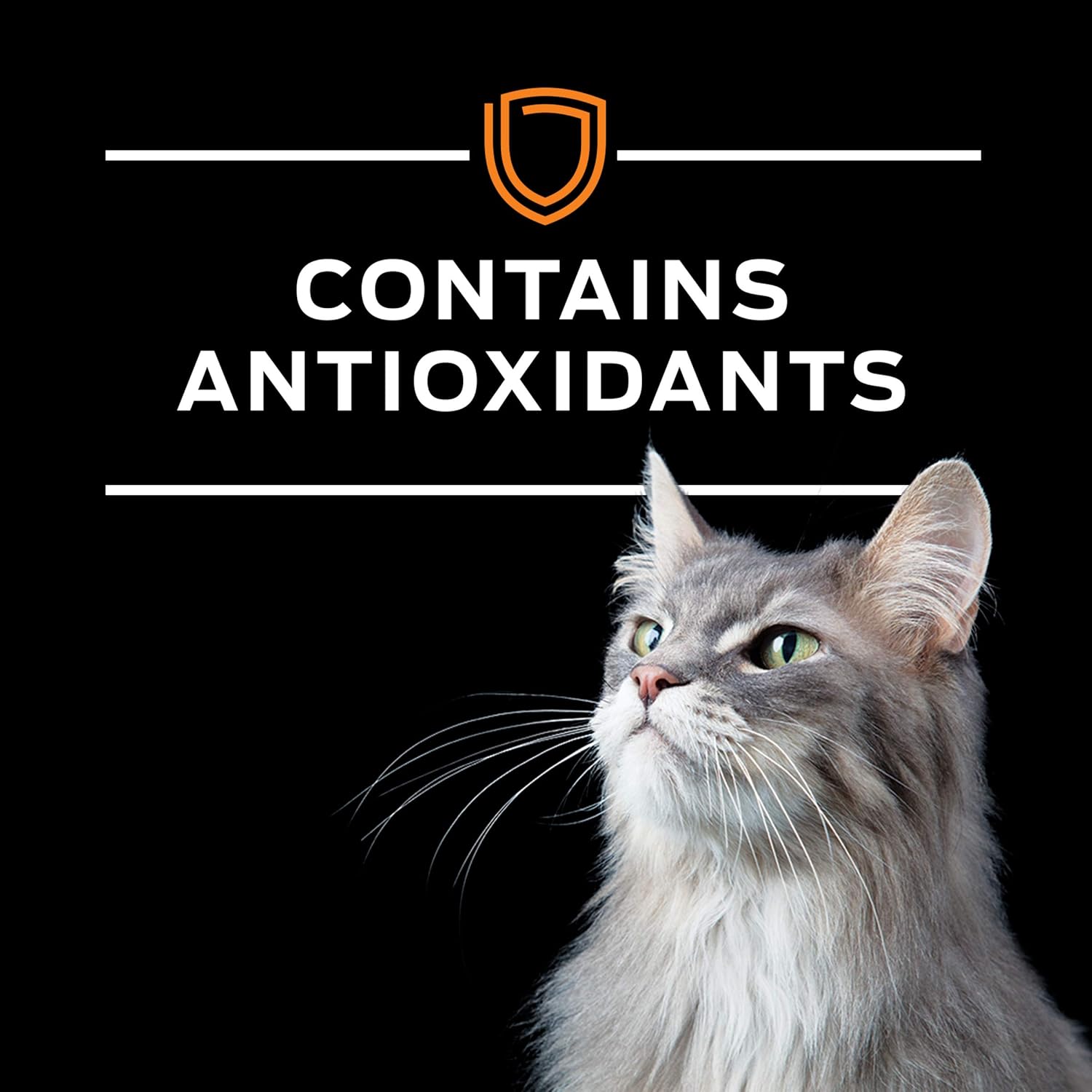 Purina Pro Plan Veterinary Diets OM – Alimento seco para gatos con fórmula felina para control de sobrepeso, bolsa de 16 libras