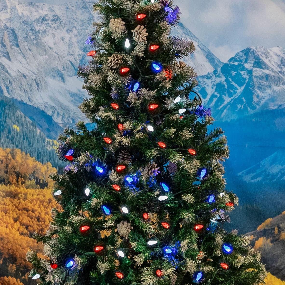 Novelty Lights – Mini juego de 70 luces C6 LED de Navidad, serie de luces de grado comercial para exteriores, cable verde, 24 pies