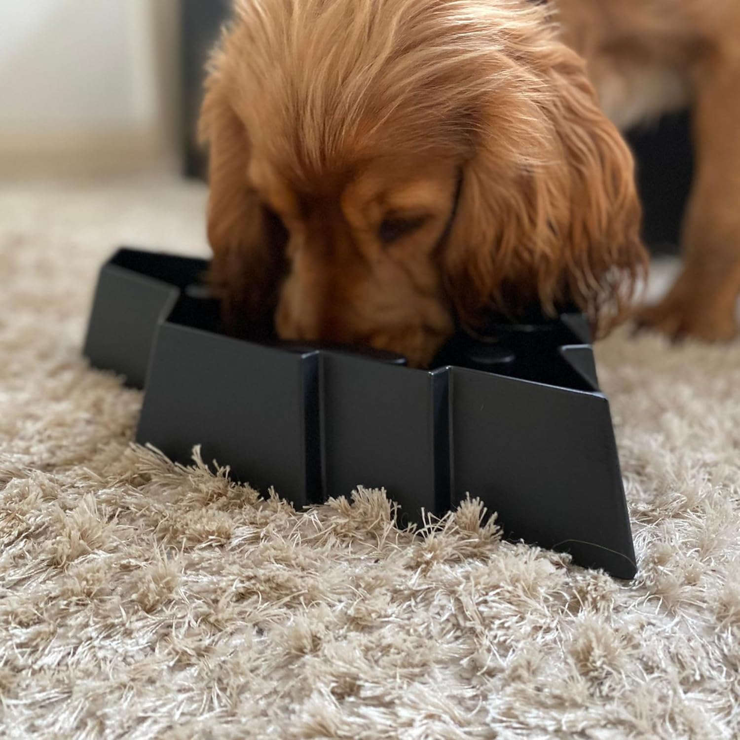 Fenrir Lenta alimentación interactiva enriquecimiento rompecabezas tazón para perros negro