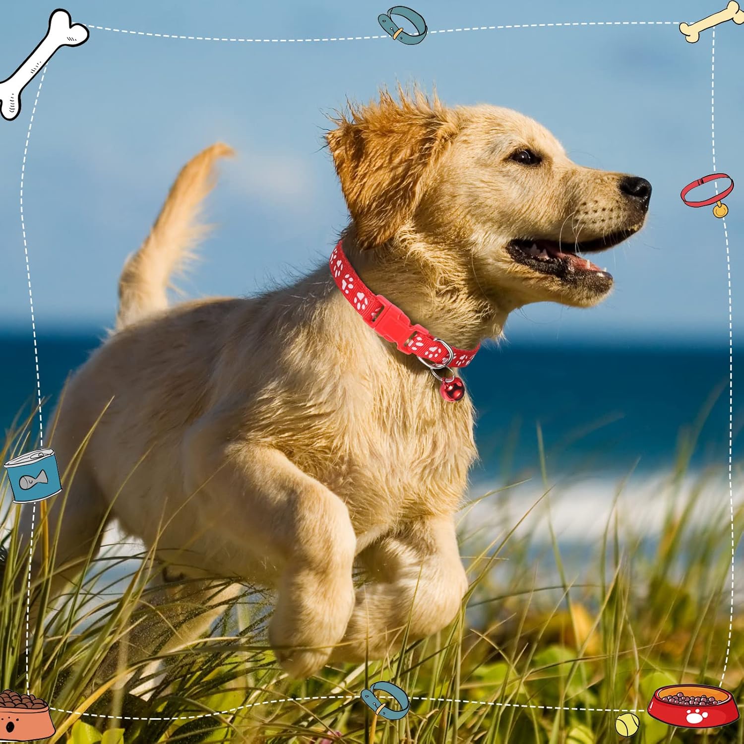 Mixweer 24 collares para cachorros pequeños, collares de identificación para cachorros recién nacidos, suministros para perros pequeños, gatos,