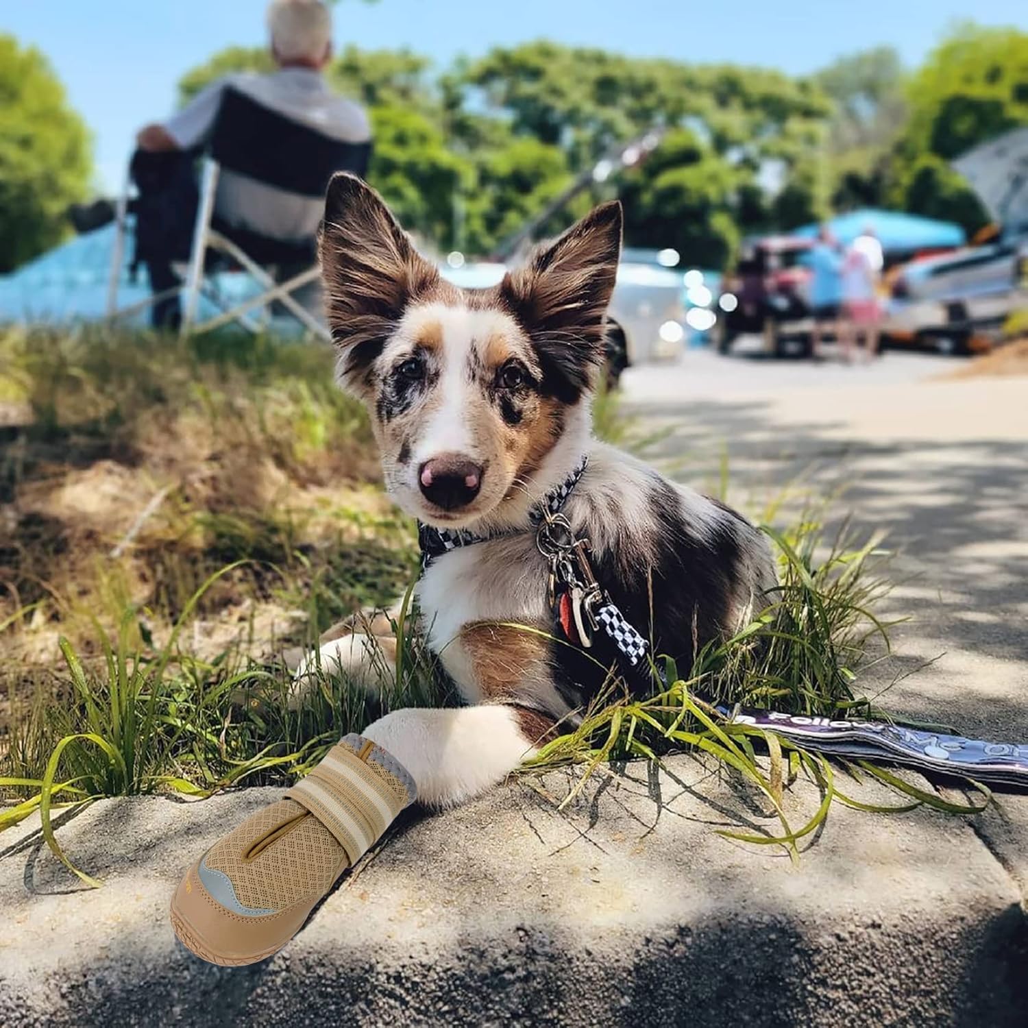 QUMY 4 zapatos de perro para pavimento caliente, botas de perro medianas y grandes y protectores de patas para protección contra el calor del