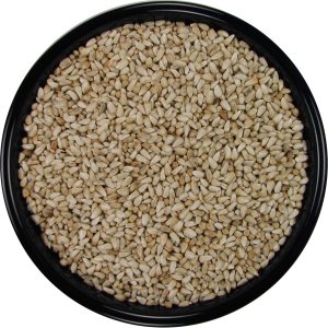 Semilla de cártamo (20 libras) Semilla de cártamo (20 libras)