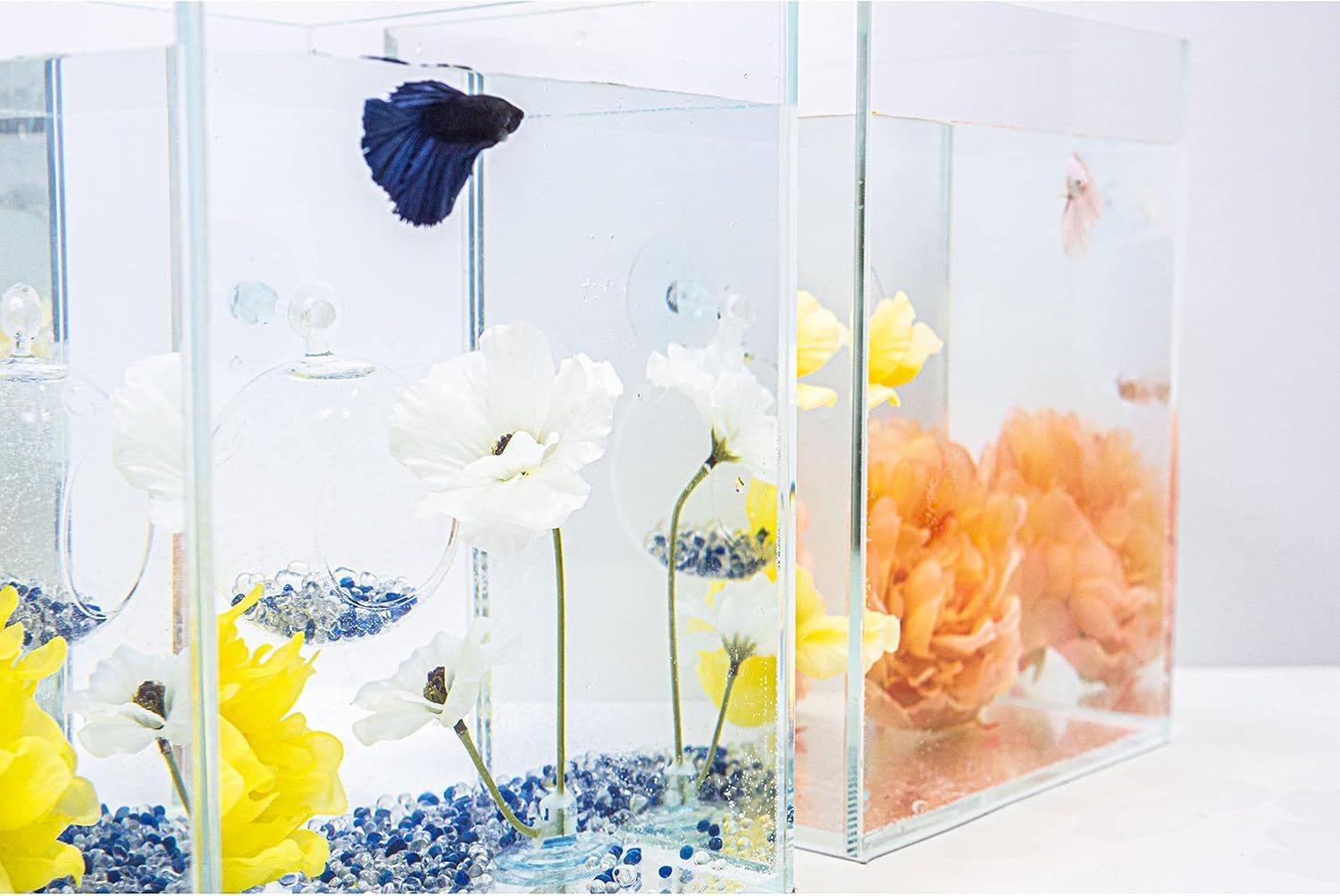 Cama Betta para cama de flores Bettafish Jappanrannan (tres colores) hermoso lugar, suave y cómodo para tu Bettafish, el hábito natural para
