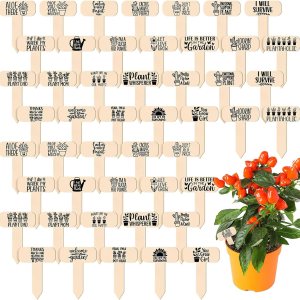 48 marcadores divertidos de madera para plantas, letreros de jardín para plantas, regalos de jardinero para flores vegetales, plantas en maceta, 48 marcadores divertidos de madera para plantas, letreros de jardín para plantas, regalos de jardinero para flores vegetales, plantas en maceta,