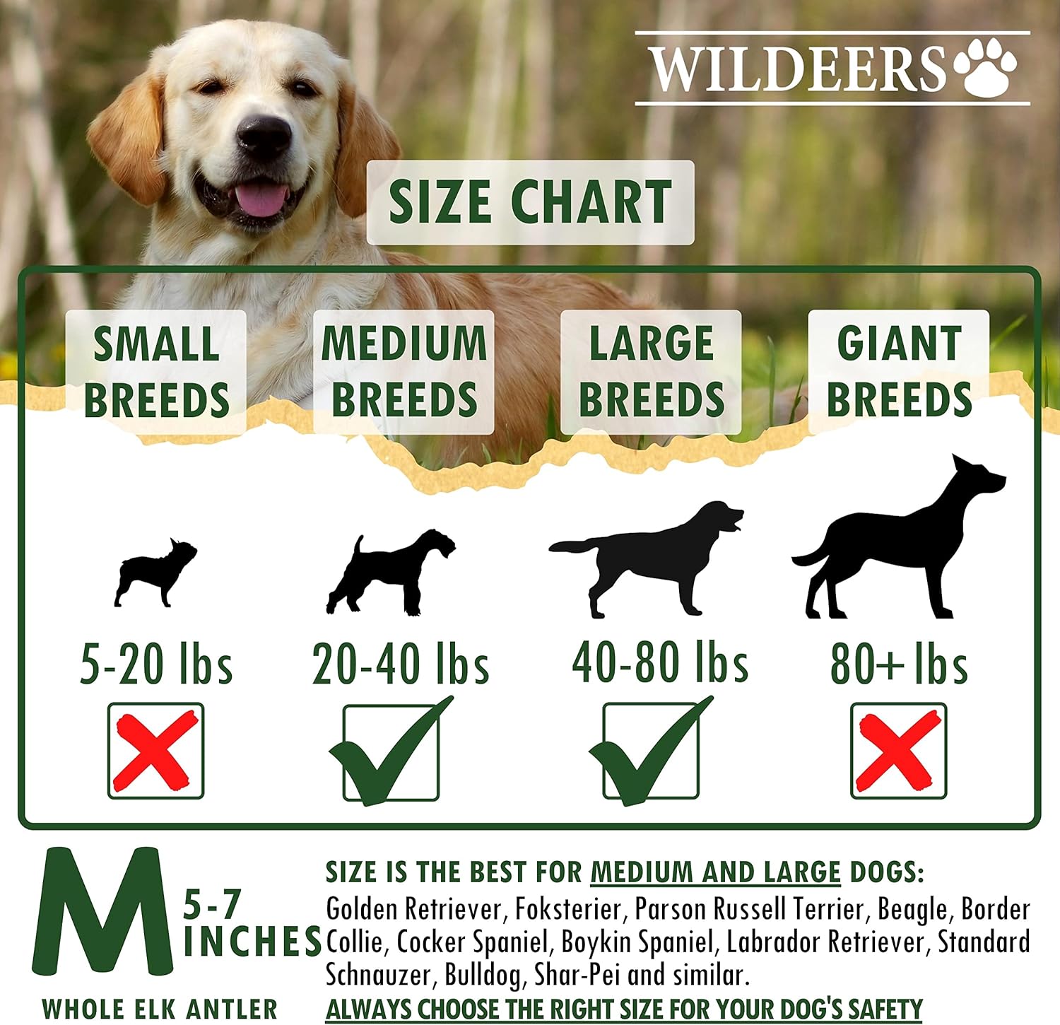 Wildeers Cuernos de alce para perros medianos, paquete de 2, masticables enteros para perros, tratamiento estimulante de la mente, desprendimiento