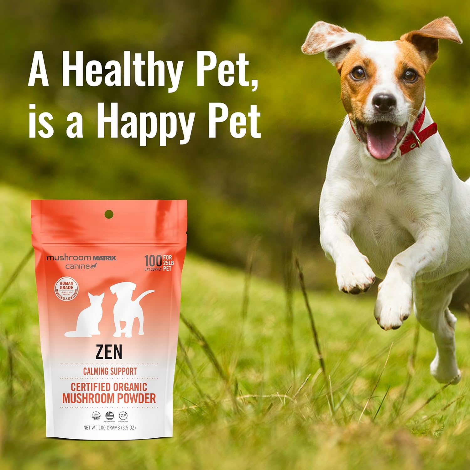 Suplemento en polvo de hongos orgánicos caninos para perros, zen, apoyo calmante, 3.53oz (el embalaje puede variar)