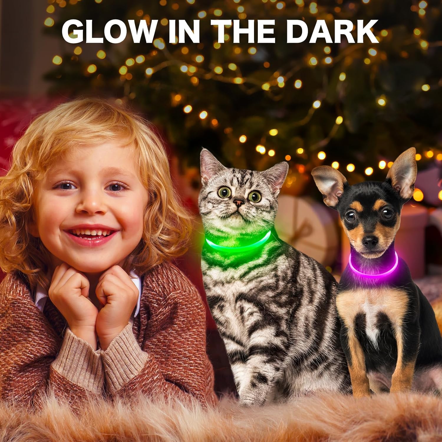 BSEEN Collar de perro iluminado  Collar de perro LED recargable a prueba de lluvia  Collar de mascotas brillante de TPU para perros pequeños y gatos