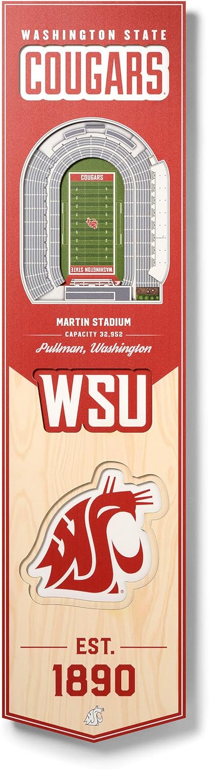 YouTheFan NCAA 3D StadiumView 8×32 Banner