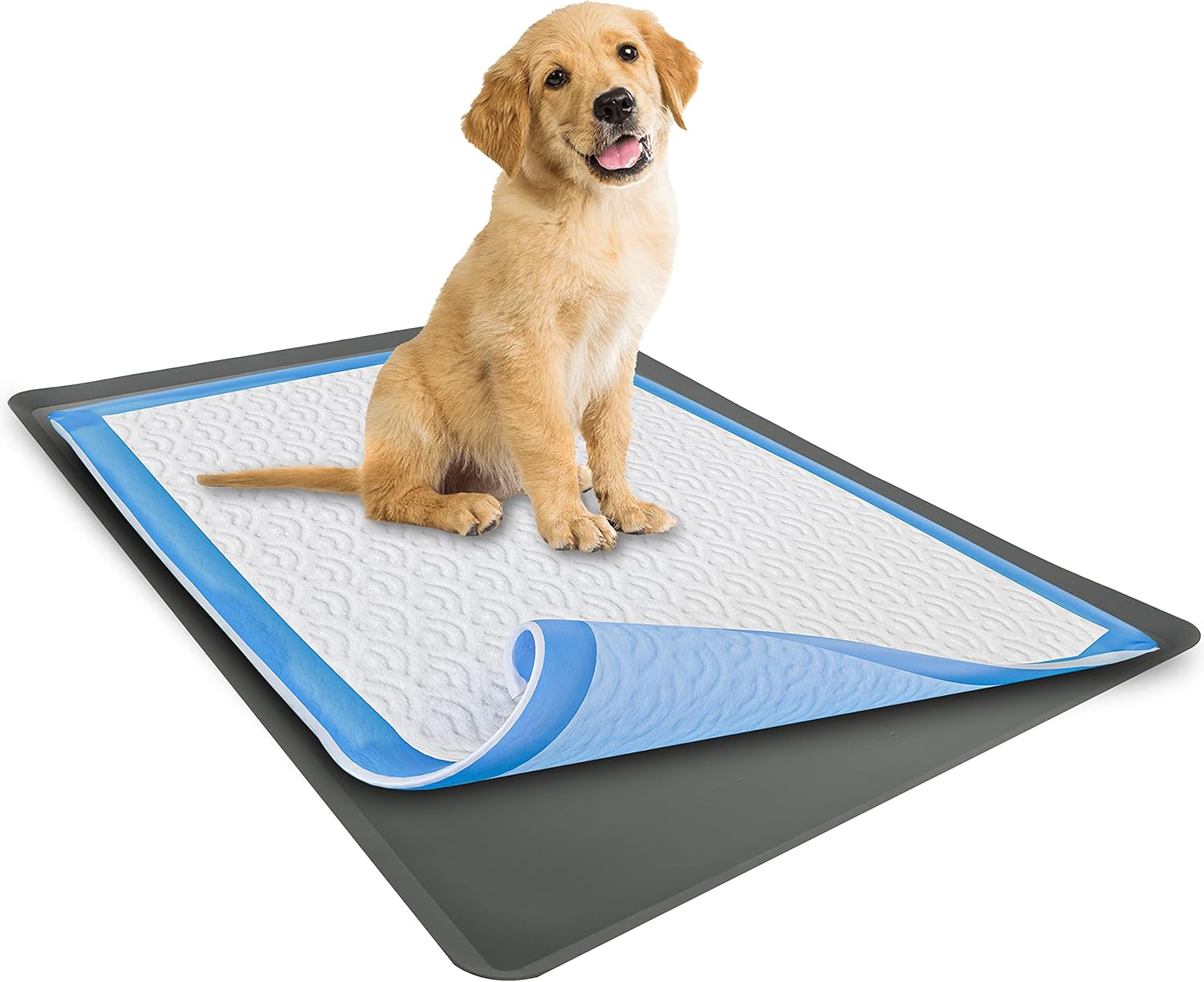 Skywin Bandeja para almohadillas para cachorros de 24 x 24 pulgadas (gris) + 28 x 34 pulgadas (gris)  Silicona, soporte para orina antiderrames para