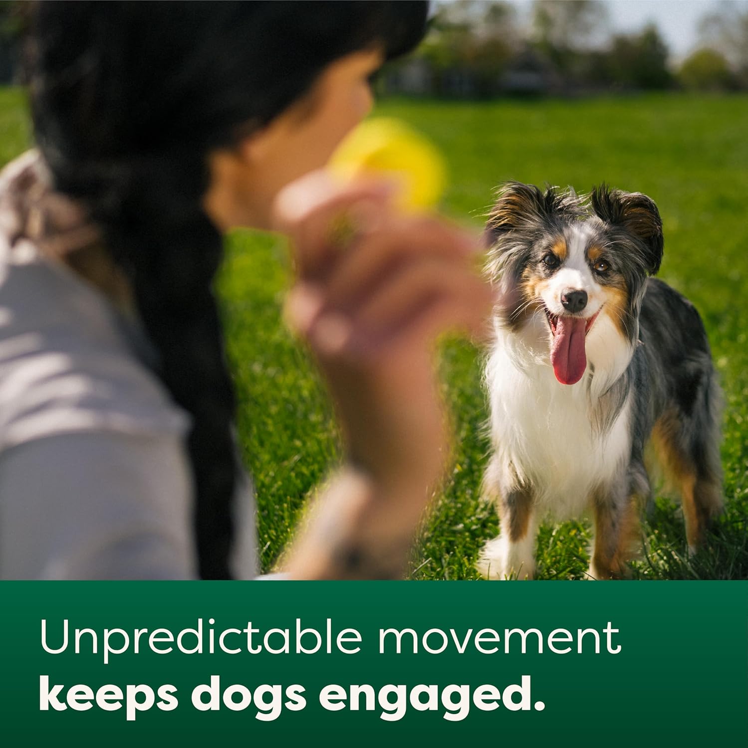 Earth Rated Pelota para perros, juguete interactivo para razas pequeñas, medianas y grandes, viene en varios tamaños, fabricada con goma natural,
