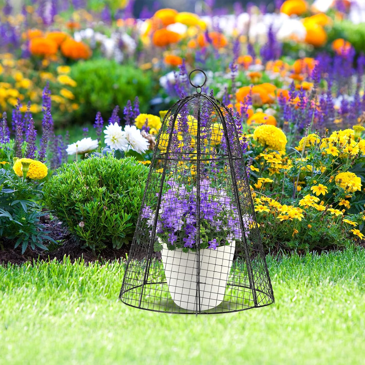 Paquete de 8 Cloche de alambre de pollo de jardín de 12 x 20 pulgadas, alambre de metal, protector de plantas de alambre grande, jaulas de tomate,