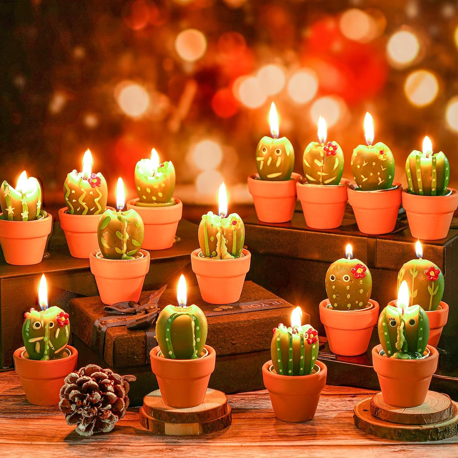 Shihanee Paquete de 24 velas suculentas de cactus a granel con maceta de terracota, arte novedoso, piedra suculenta y plantas de cactus, velas para