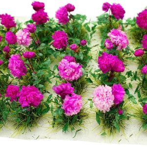 20 mechones de flores en miniatura para mini casa de muñecas, jardín de hadas, ferrocarril, escenario estático simulado, modelo de micro paisaje 20 mechones de flores en miniatura para mini casa de muñecas, jardín de hadas, ferrocarril, escenario estático simulado, modelo de micro paisaje