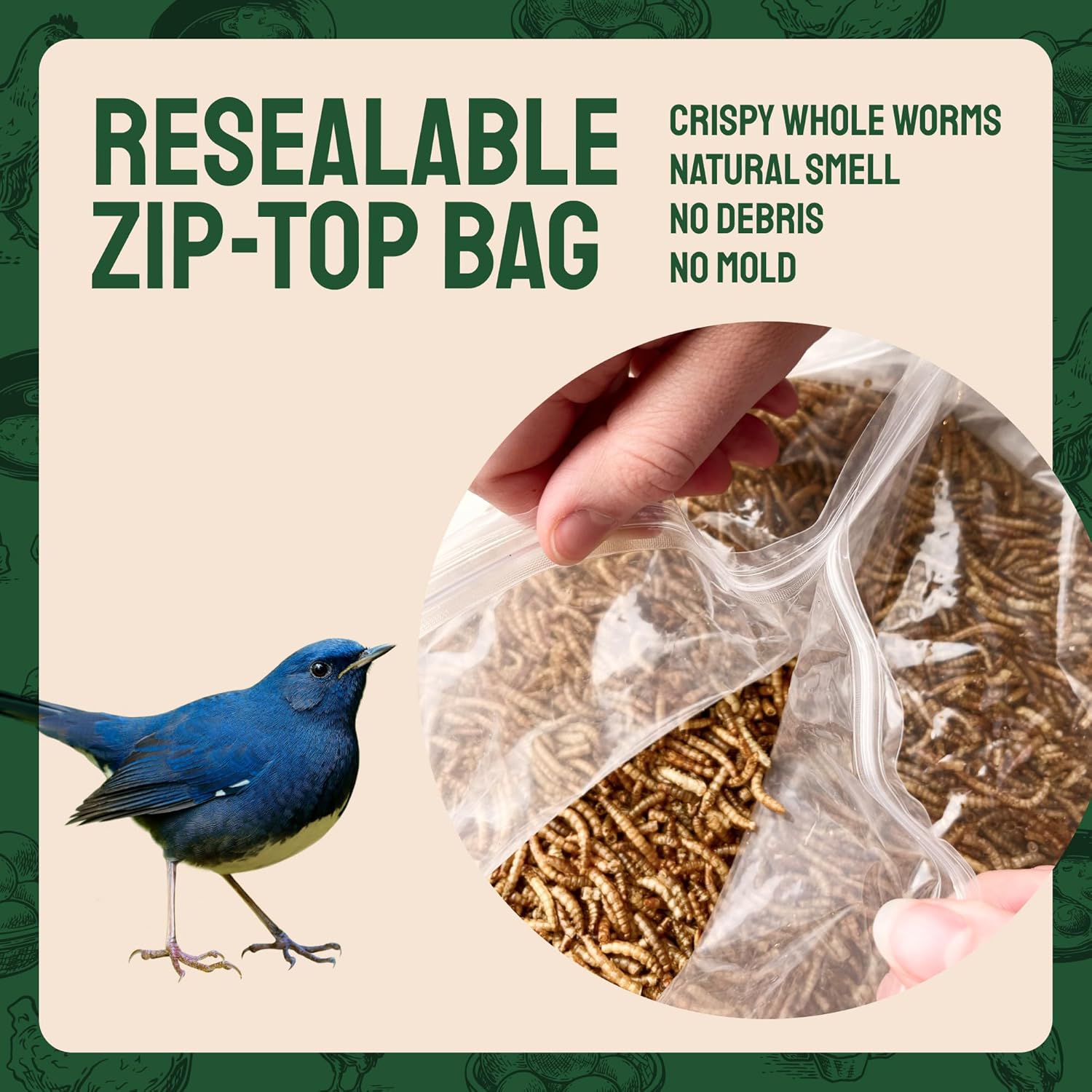 Gusanos de harina secos de 2 libras para aves silvestres y pollos, alimento orgánico prémium sin OMG – Gusanos nutritivos de comida secos con alto