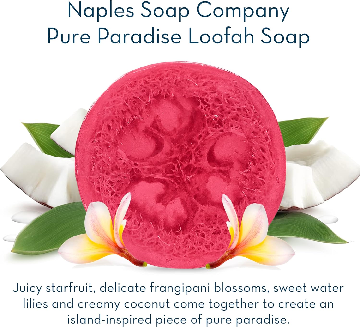 Naples Soap Company – Juego de 4 barras de esponja natural con infusión de jabón para limpiar, exfoliar e hidratar la piel, sin ingredientes