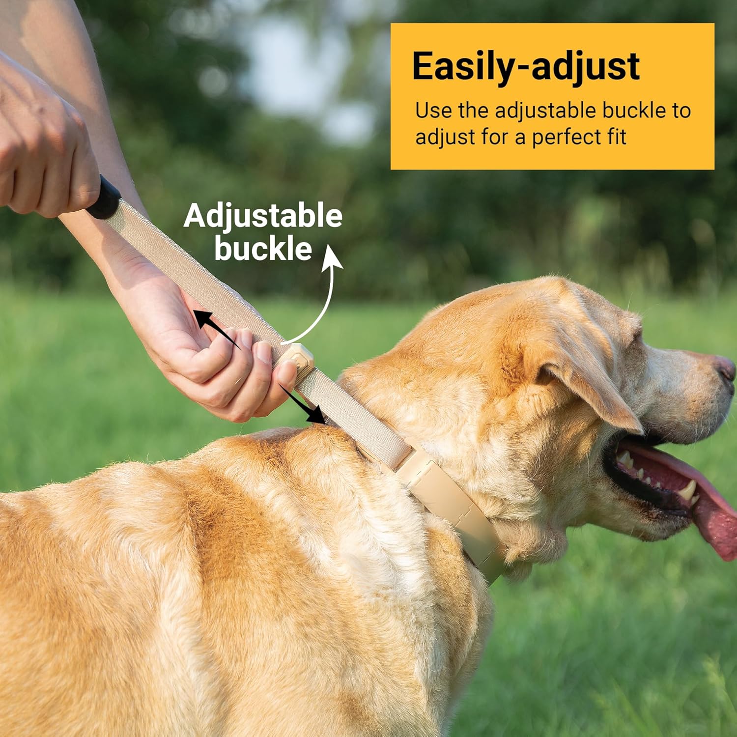 SVD.PET Collar de punta para perro para entrenamiento sin tirones, hebilla de liberación rápida, collar ajustable para perros pequeños (bronceado,