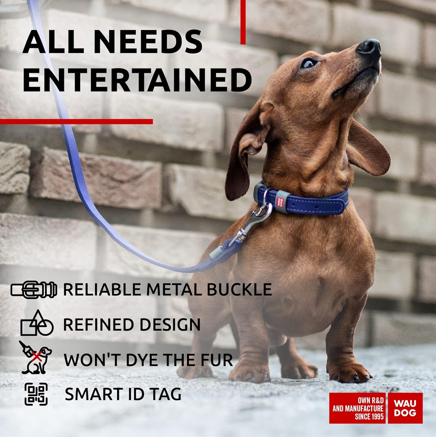 WAUDOG Collar de cuero de larga duración para perros grandes, medianos y pequeños  Collares clásicos ajustables para cachorros de raza grande