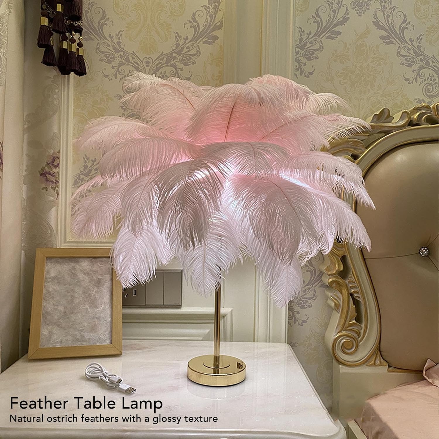 GOWENIC Lámparas de mesa inalámbricas, luz de escritorio con control táctil, lámpara de noche LED recargable, luz nocturna de plumas de avestruz,