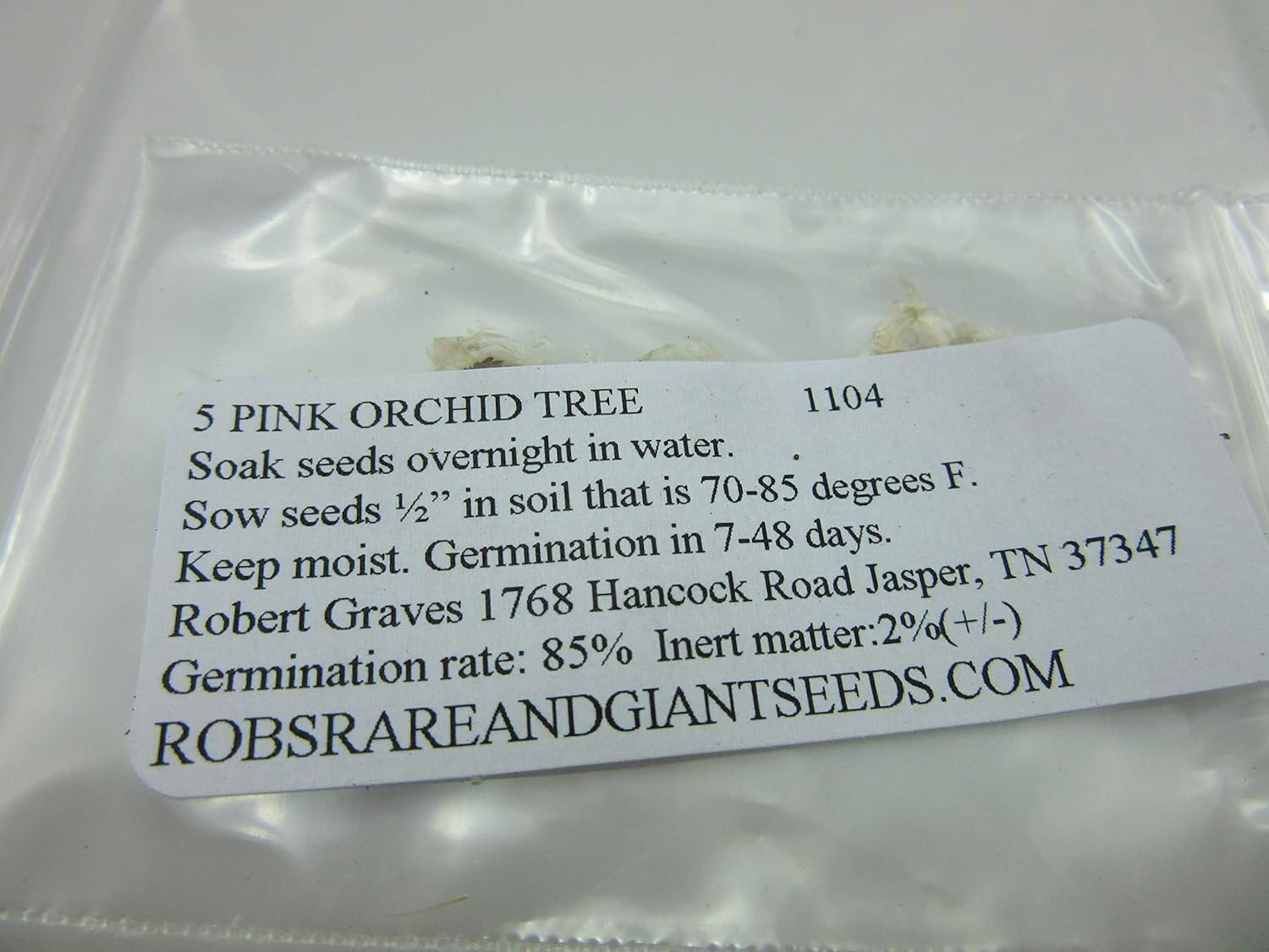 1104-Orchid, Pink Tree (Bauhinia monandra ) Semillas de Robsrareandgiantseeds UPC0764425786962 Sin OMG, orgánico, cultivador estadounidense, Bonsai,