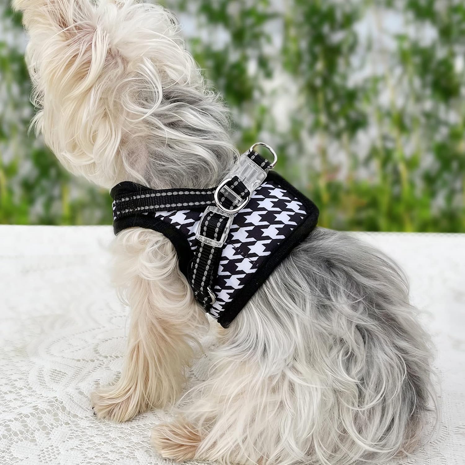 Arnés a cuadros para perro, arnés para perro pequeño sin tirones, juego de arnés suave para cachorros y correa, arnés para perro XS, arnés para