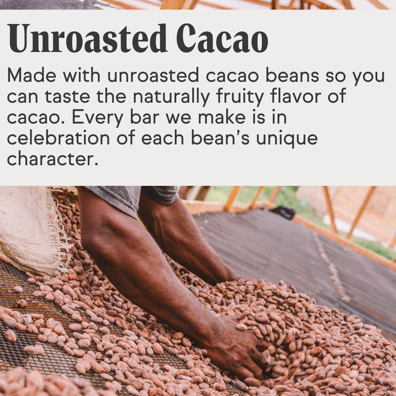Raaka Mezcla clásica de chocolate caliente, orgánico, vegano, kosher, sin lácteos, bolsa de 8 onzas, 9 porciones